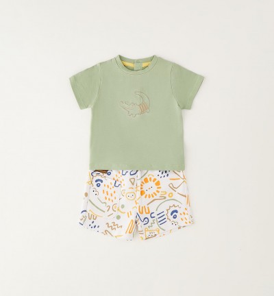 COMPLETINO CROCODILLE