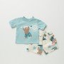 COMPLETINO SURF BEAR