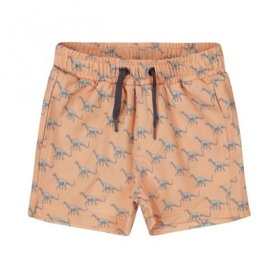 COSTUMINO BOXER DINOSAURI