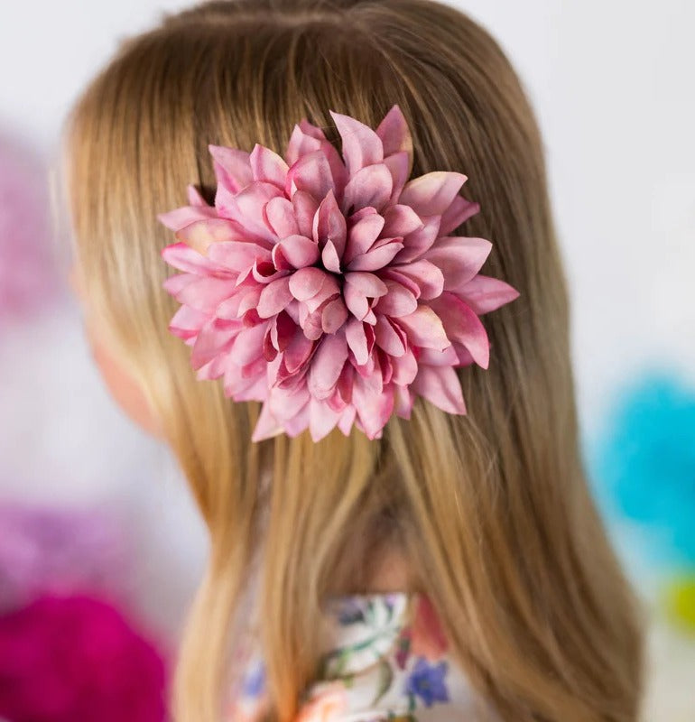 CLIP CAPELLI