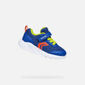 SNEAKER ROYAL RED BLUE