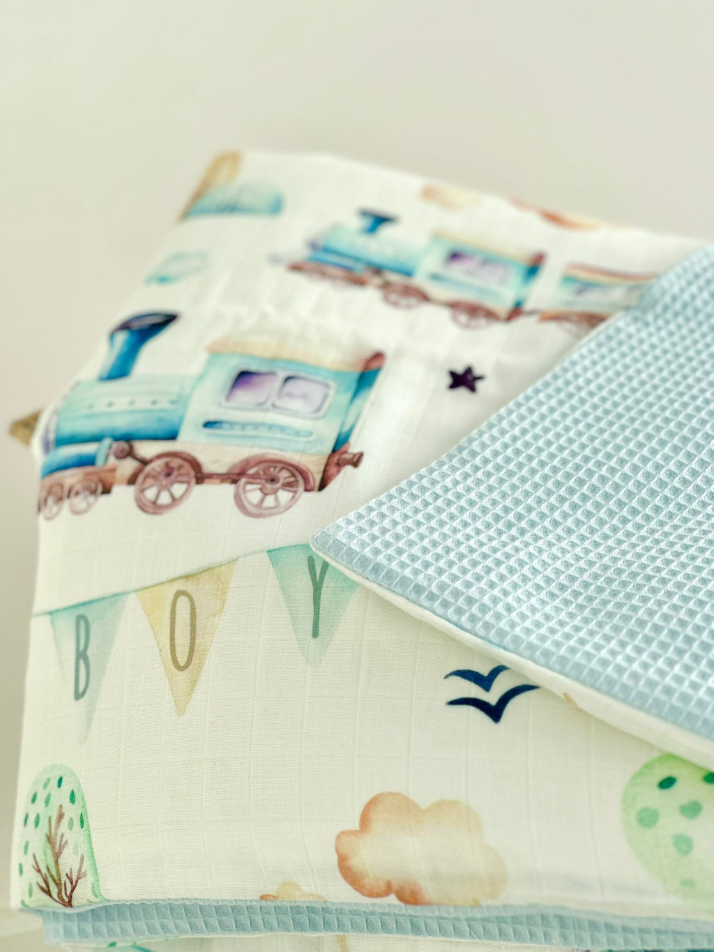 COPERTA CON PIUMINO TRENINO