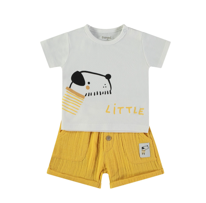 COMPLETINO AMARILLO