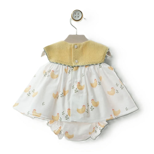 ABITINO CON CULOTTE GALLINA