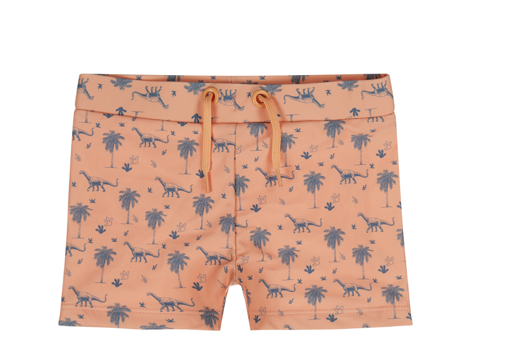 COSTUMINO BOXER DINOSAURI