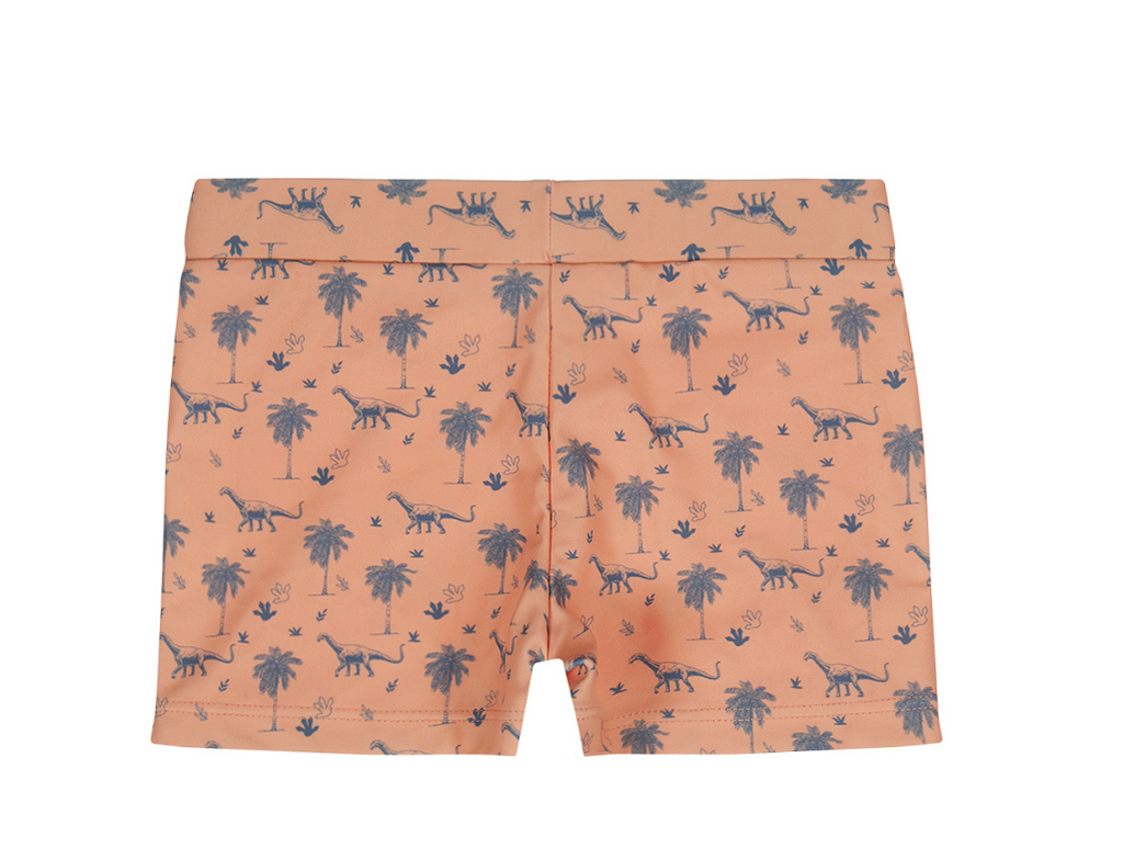 COSTUMINO BOXER DINOSAURI